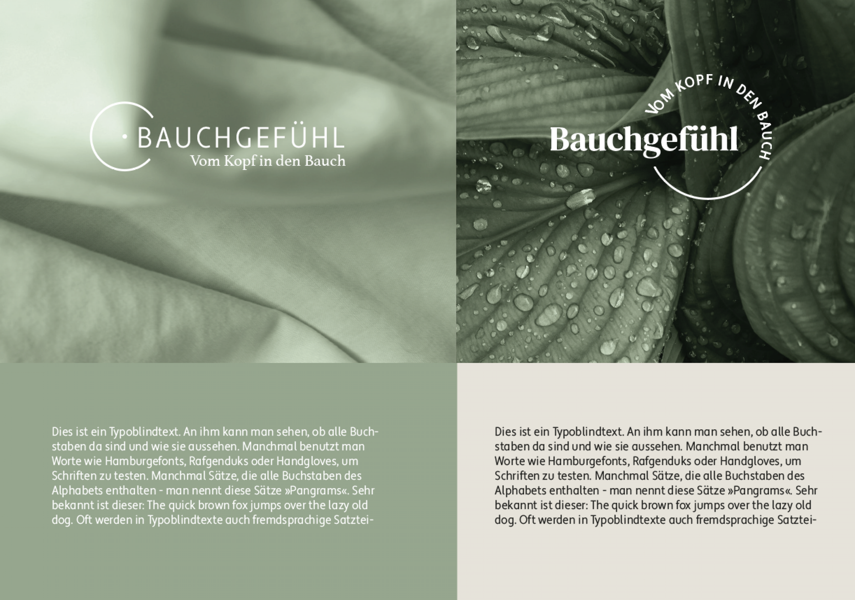 Logoentwurf-Bauchgefuehl-V3